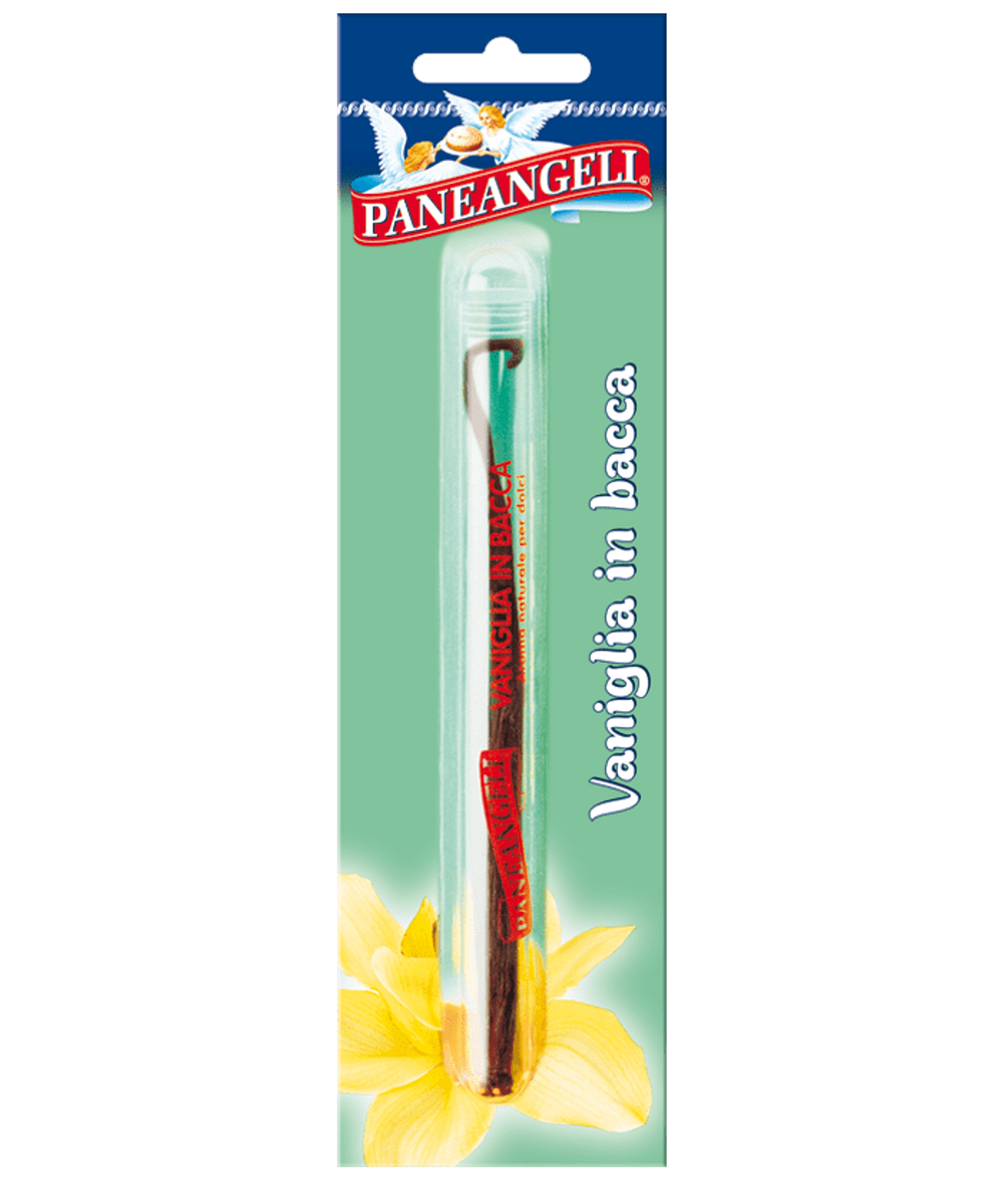 Vaniglia in bacca