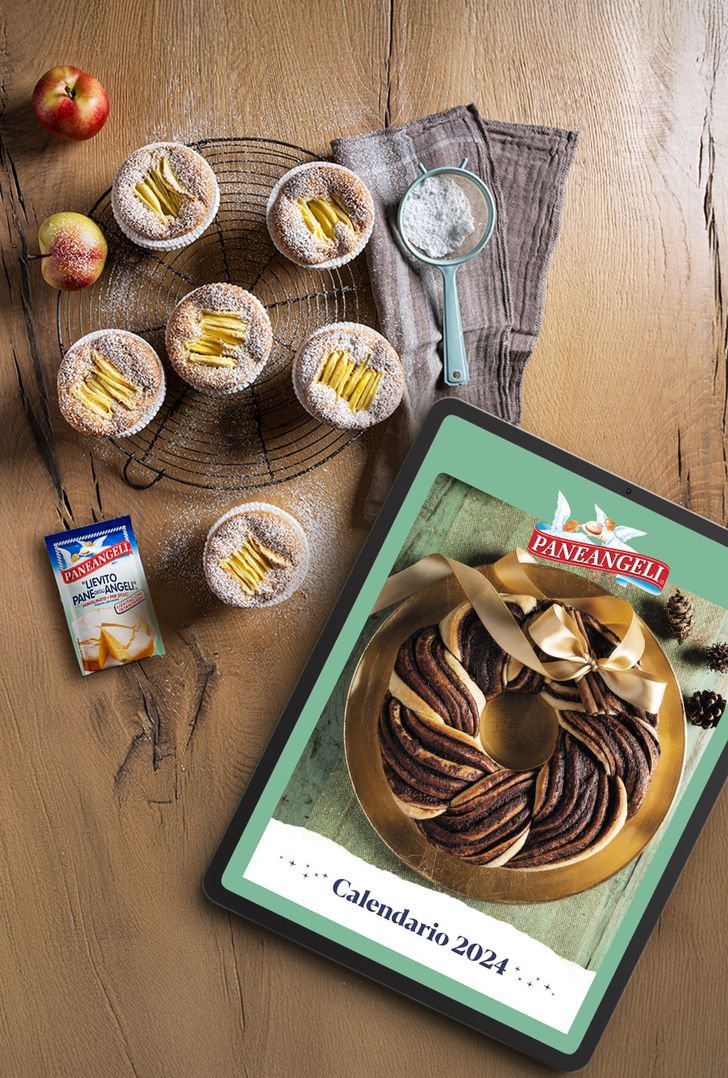 Babka al cioccolato