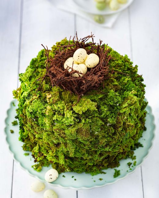 nest-nature-cake (2).jpg