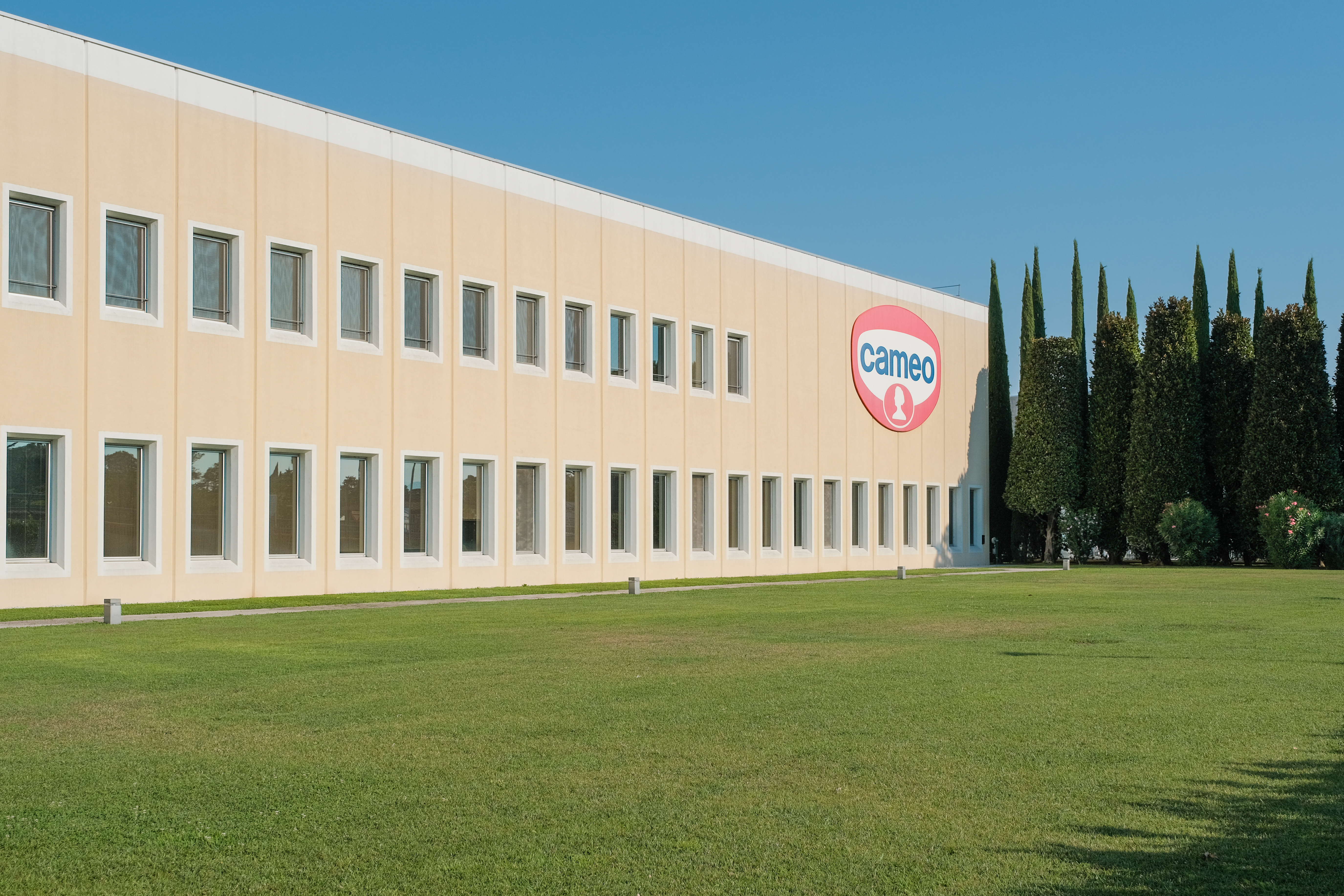 cameo chiude il 2022 con risultati netti in doppia cifra