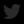 Picture - 