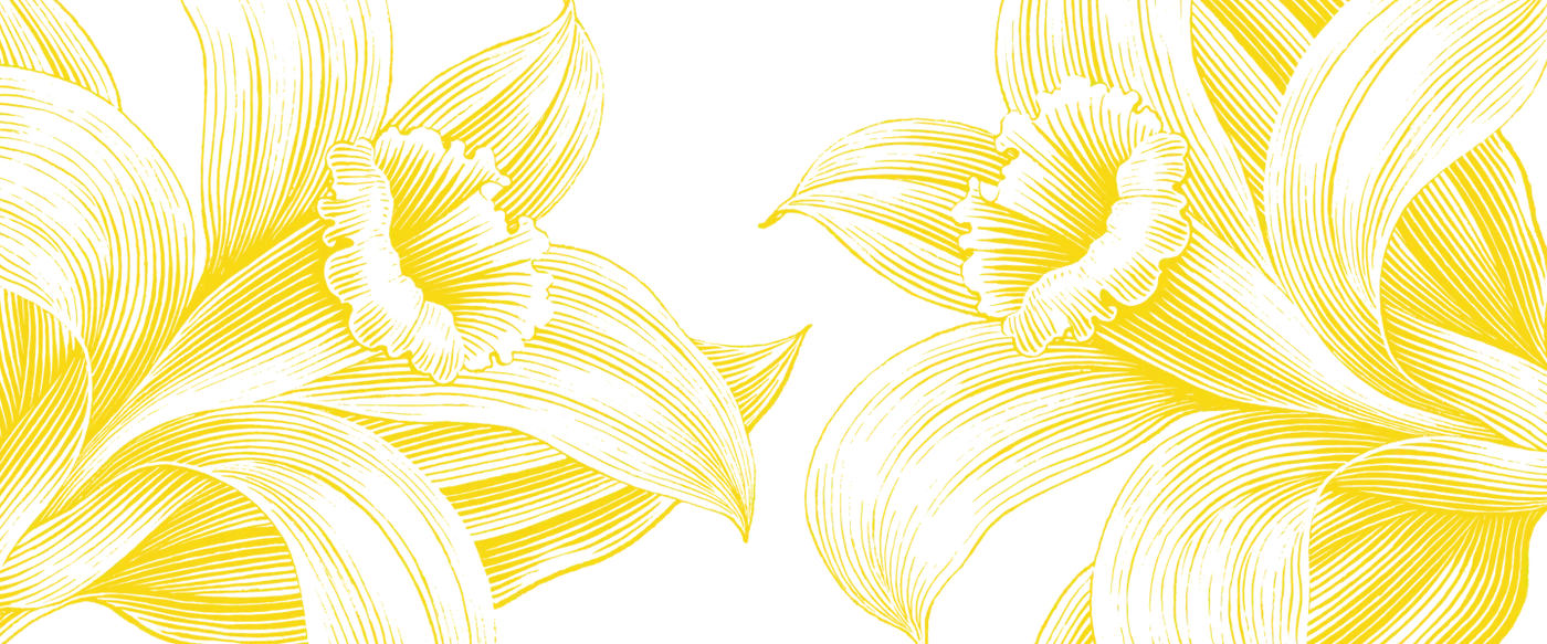 Picture - T&C Key Visual flower banner desktop